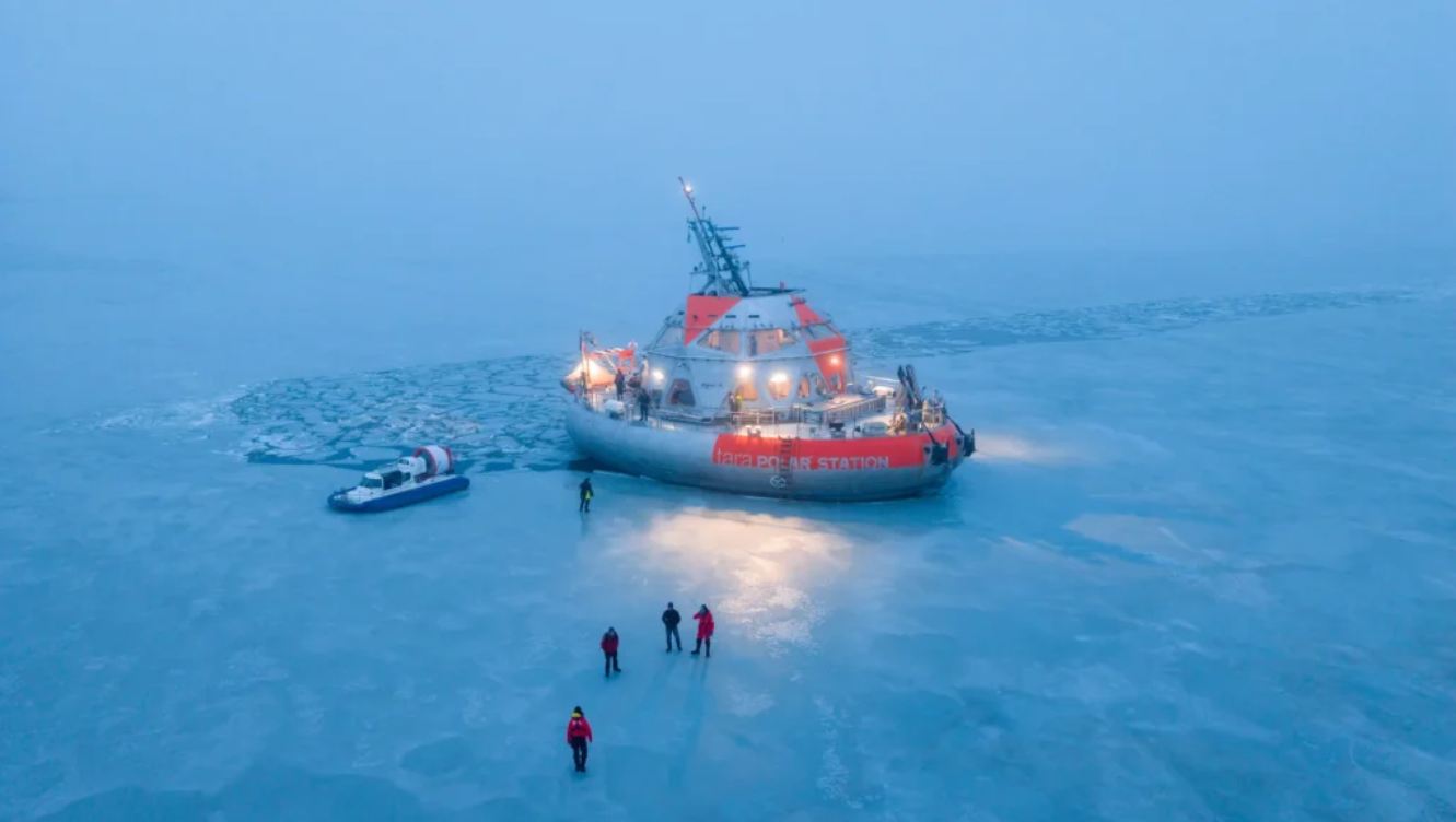 Tara Polar Station vue de drone