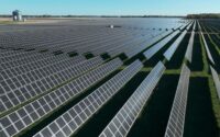 edf solar usa fox squirrel