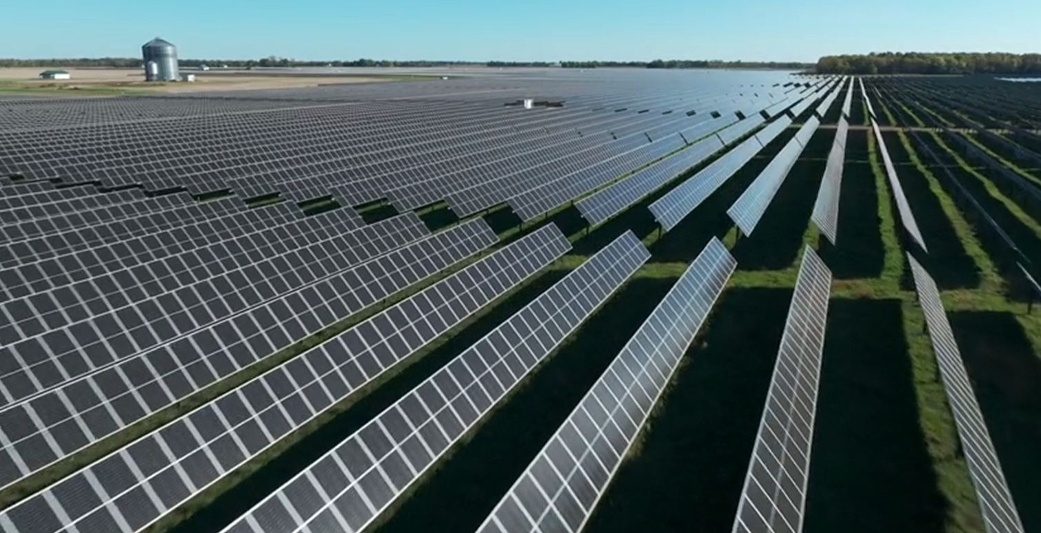 edf solar usa fox squirrel