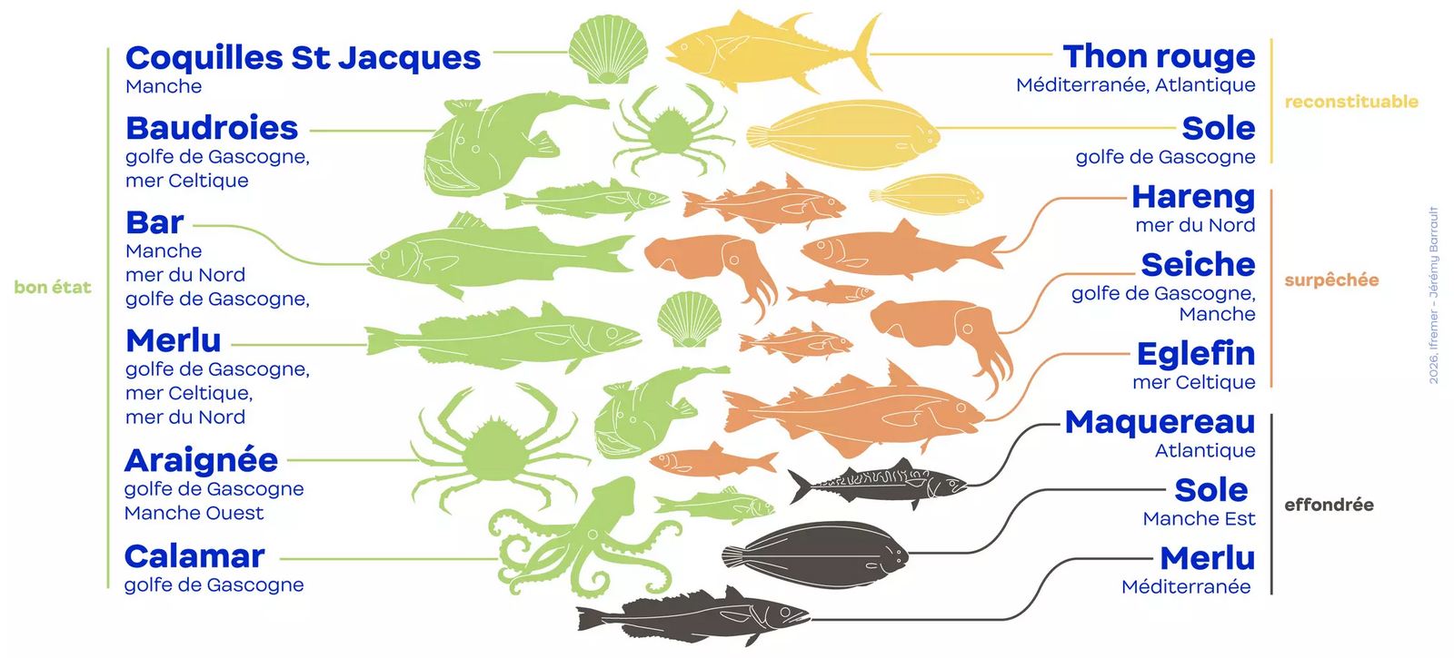 exemples de populations de poissons classées selon leur état